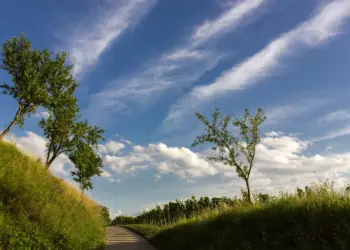 Weg in die Weinberge von Heppenheim