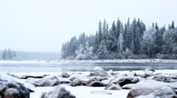 Weiße Winterlandschaft am Fluss in Schweden