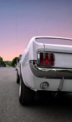 Weißer Mustang am Straßenrand