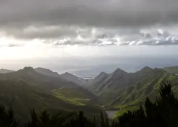 Blick vom Mirador del Llano de los Loros im Mercedes Wald auf Teneriffa