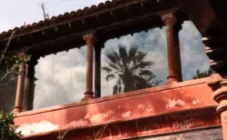 Spiegelung einer Palme in einem kleinen Garten auf Teneriffa